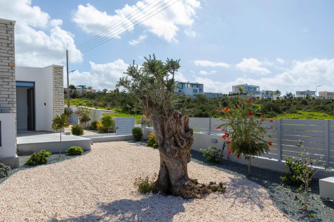 Villa Adaris, Sea Caves Peyia Paphos 外观 照片